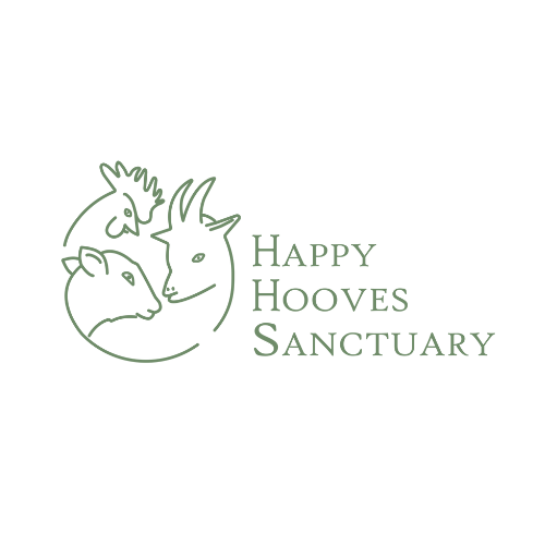 Happy Hooves Sanctuary